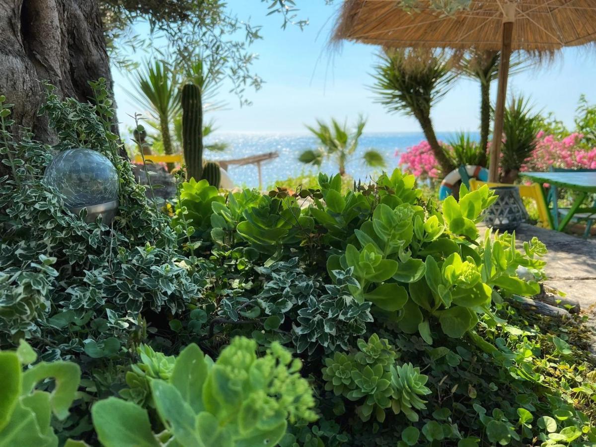 Kallmi View Eco Rooms Durres Ngoại thất bức ảnh